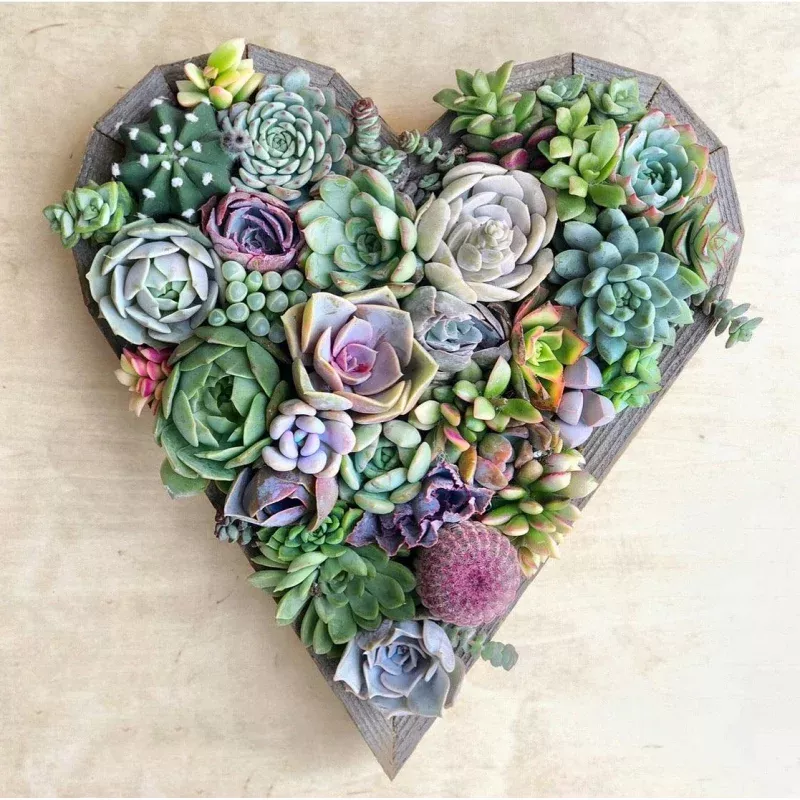 Succulent Heart-Shaped Vertical Garden