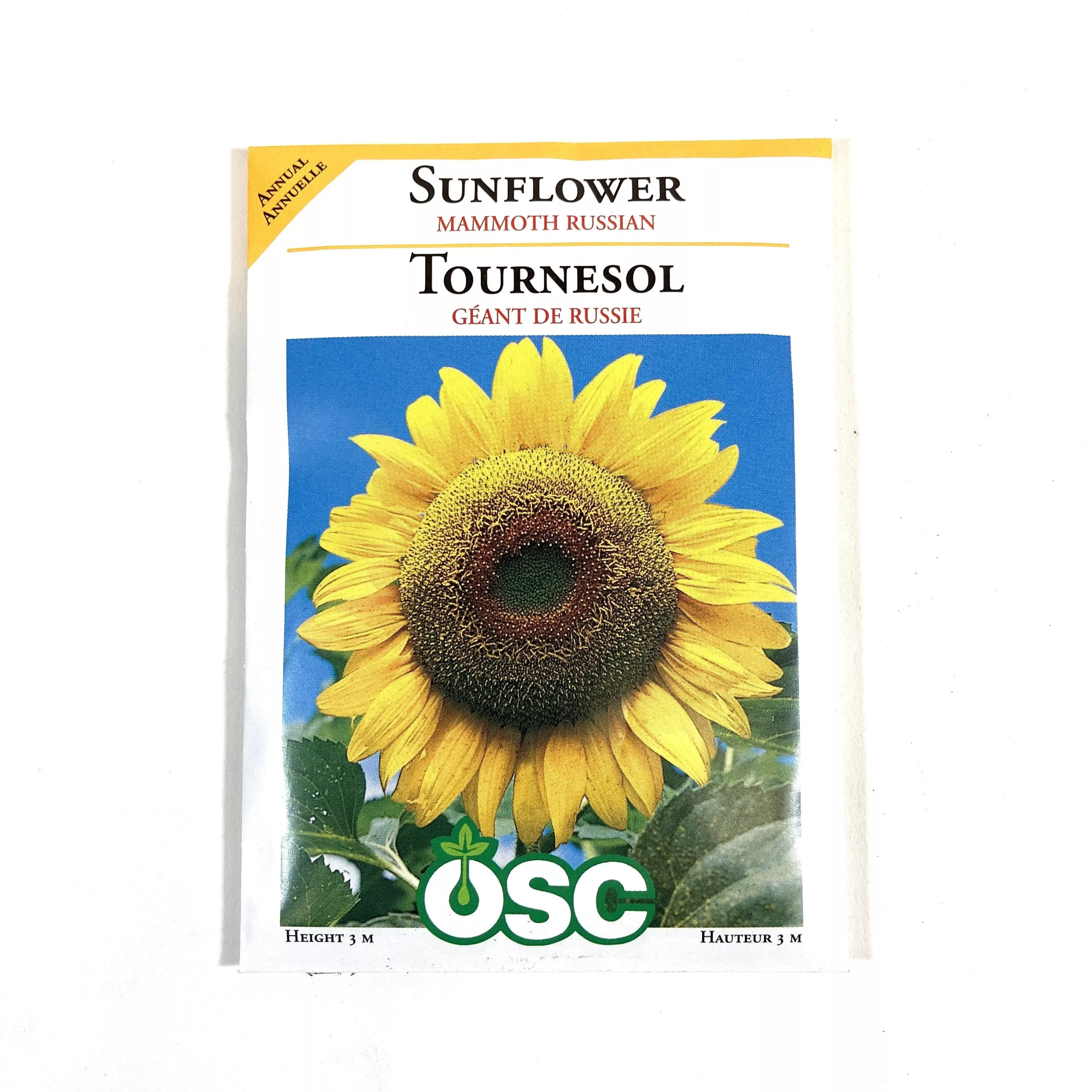 Sunflower - Large Grey Striped Seeds, OSC
