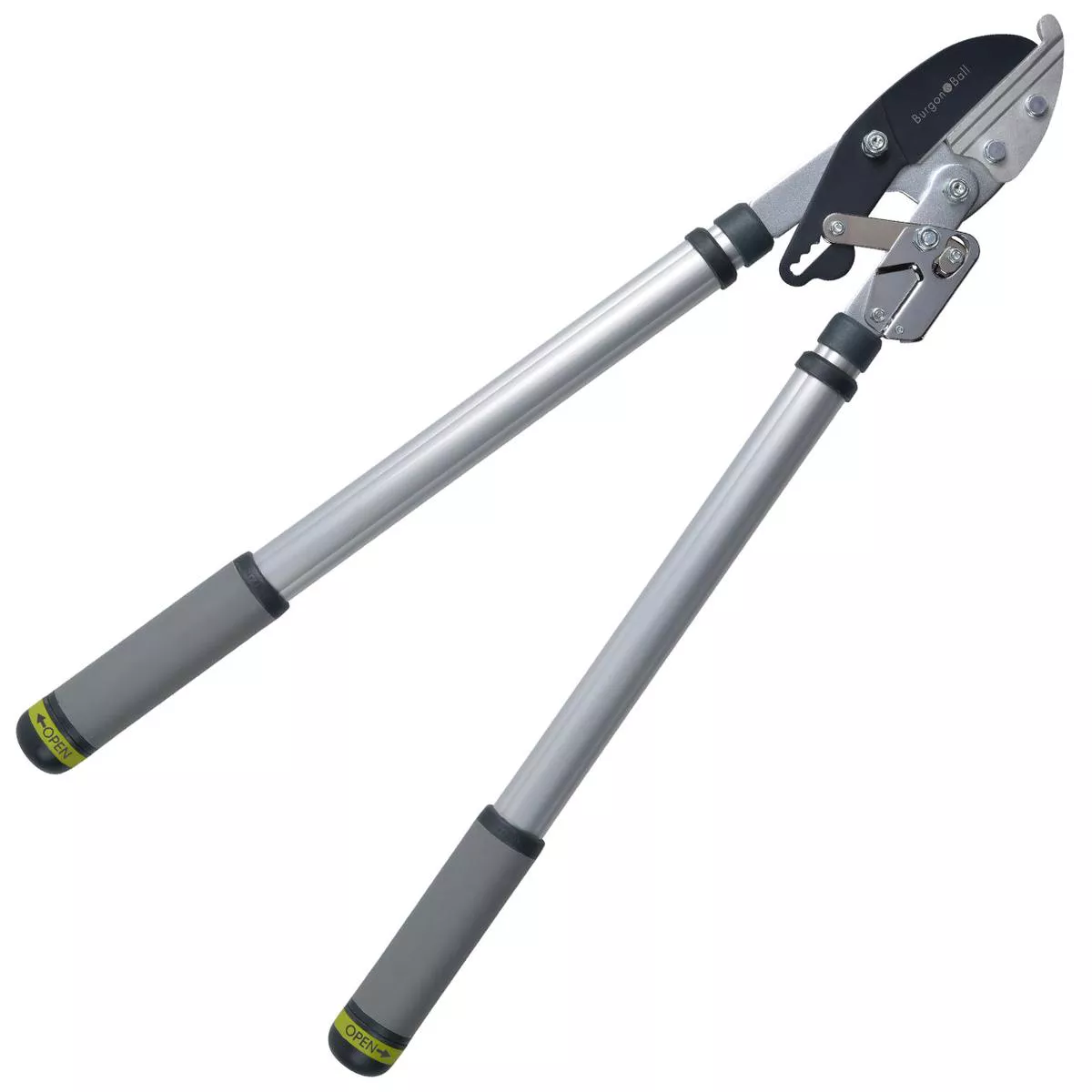 Telescopic Ratchet Lopper 8211 RHS Endorsed