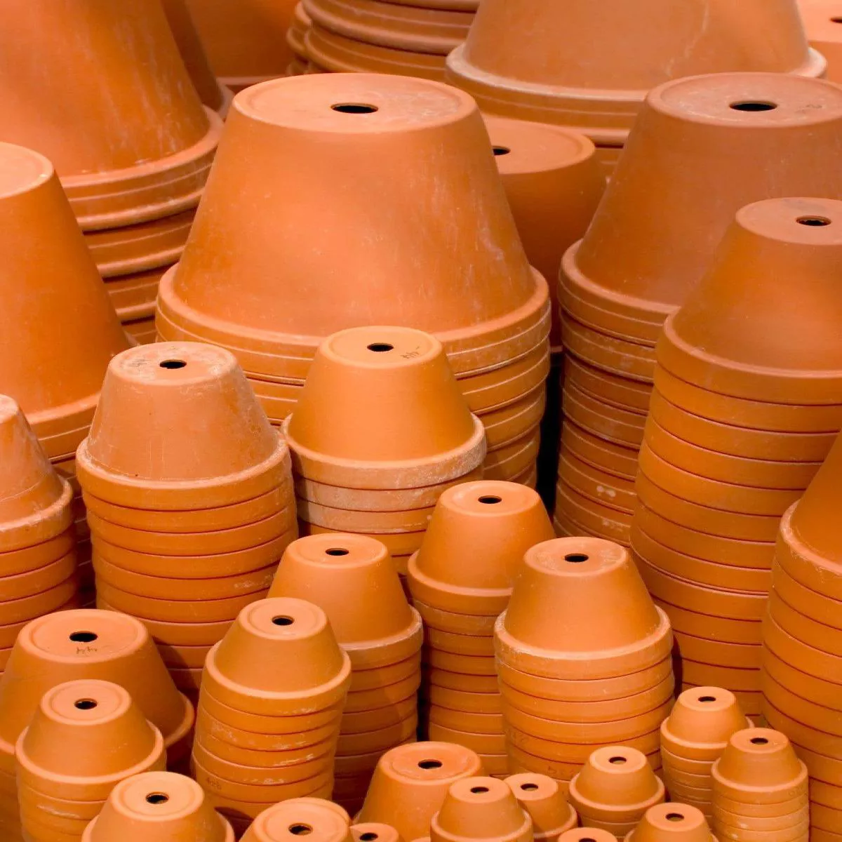 Terra Cotta Pottery