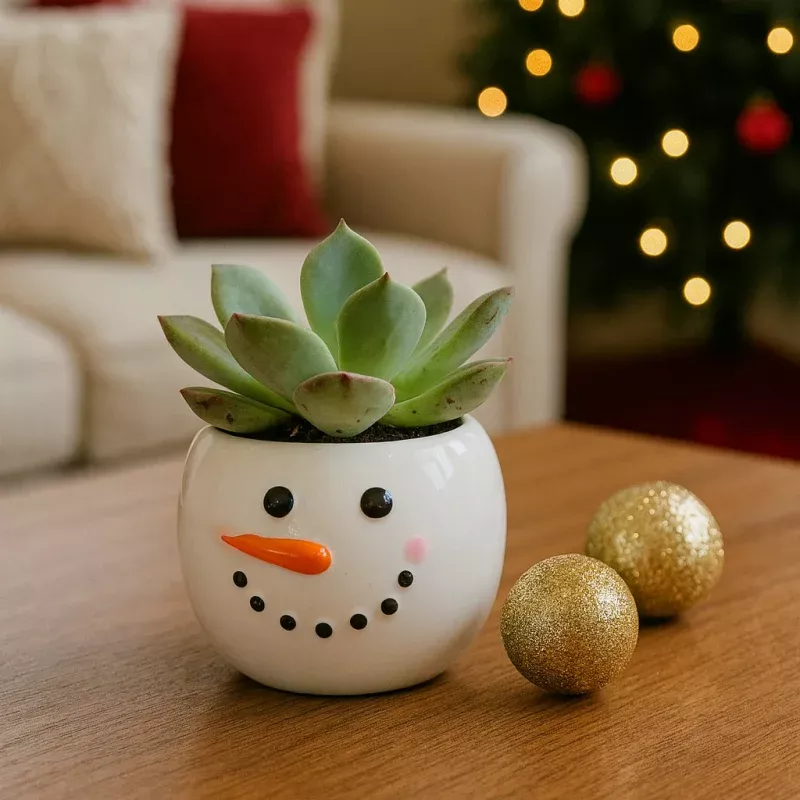 Tiny Tot Snowman with 2-inch Succulent