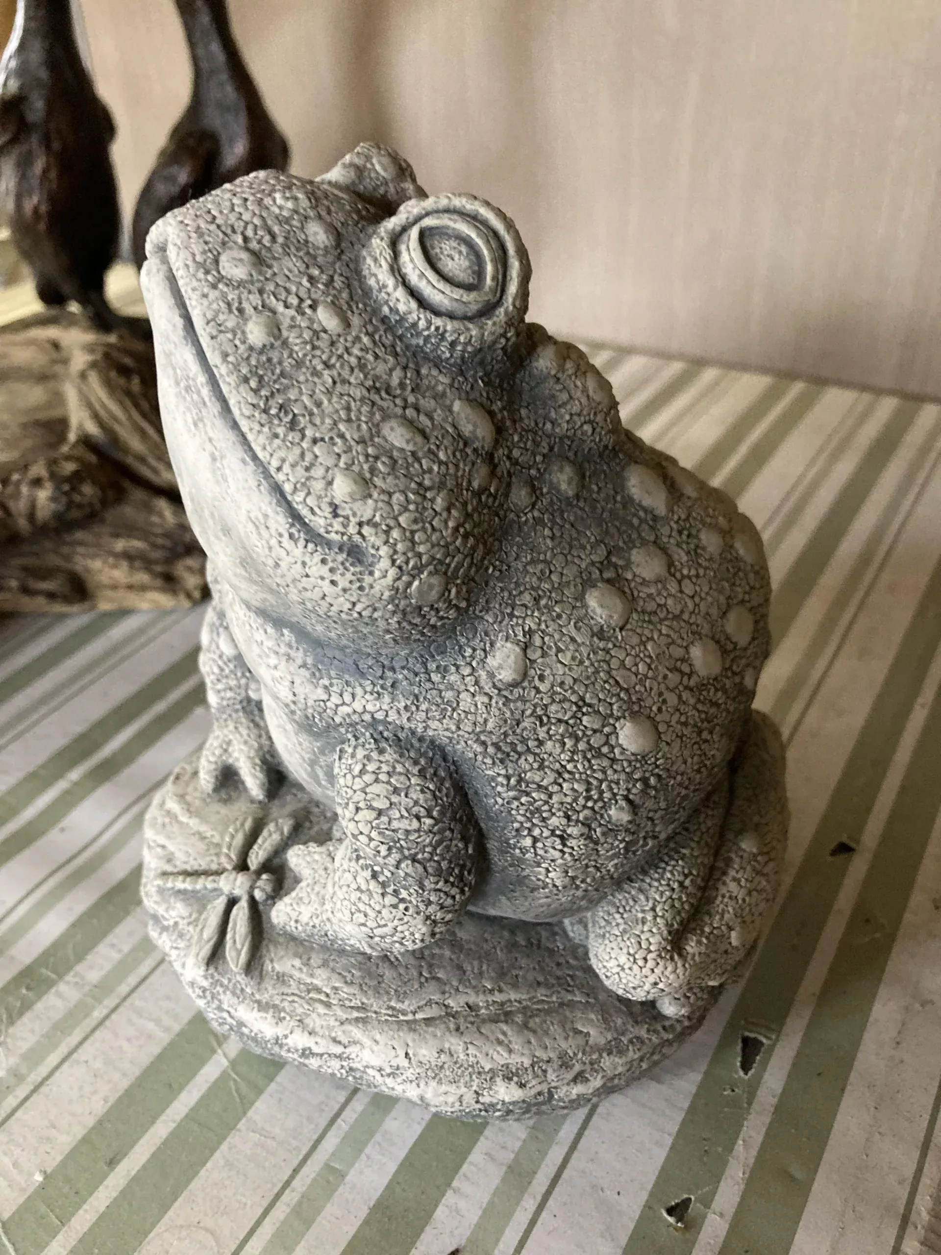 TOAD WITH DRAGONFLY ANGUS