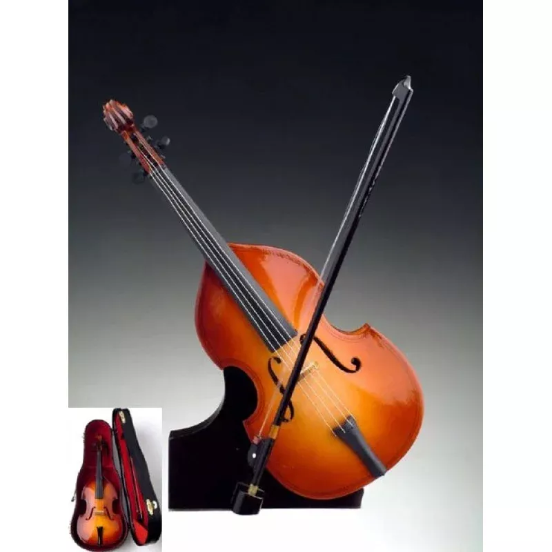Upright Double Bass with Case