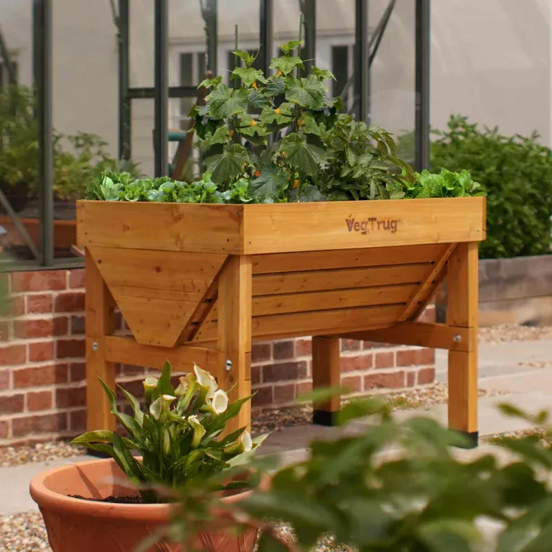 VegTrug Small Wooden Patio Planter