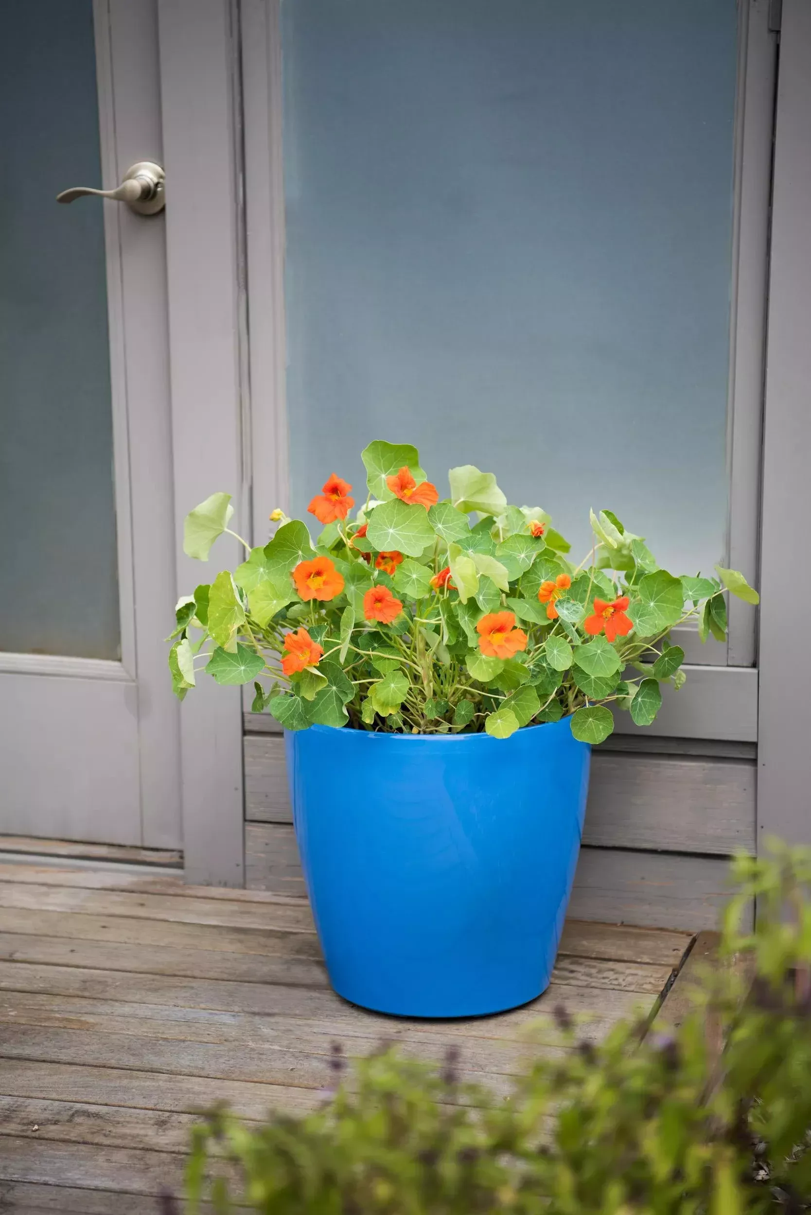 Viva™ Round Self-Watering Rolling Planter, 17.25” Diameter