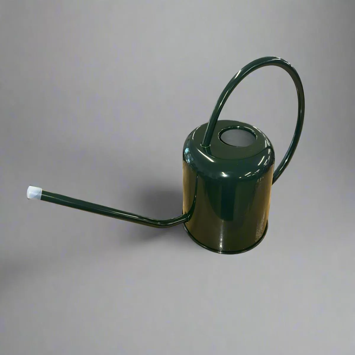 Watering Can 8211 Green