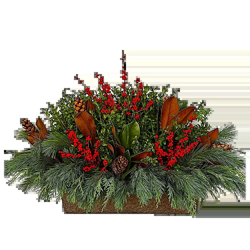 Window Box – Jen’s Ilex