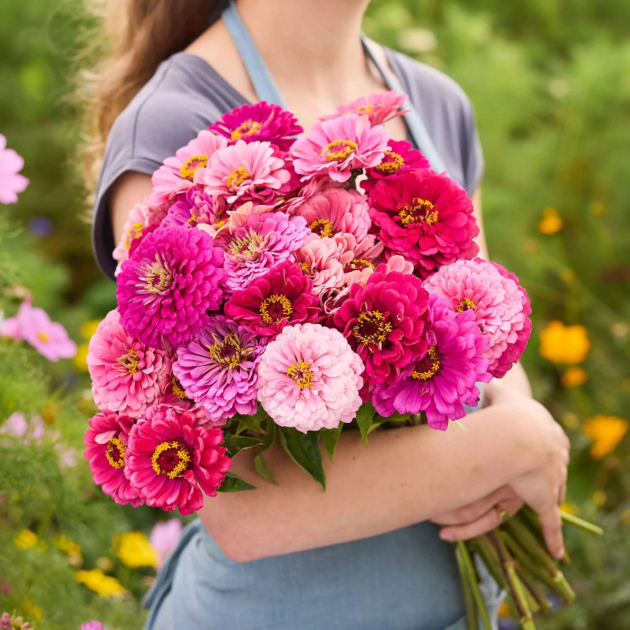 Zinnia Seeds – Art Deco Mix
