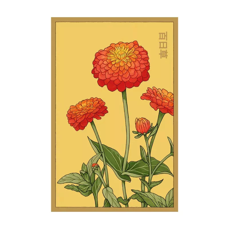 Zinnia – Seeds,