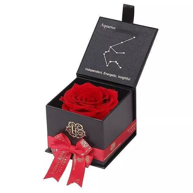 Zodiac Eternal Rose Gift Box- Aquarius