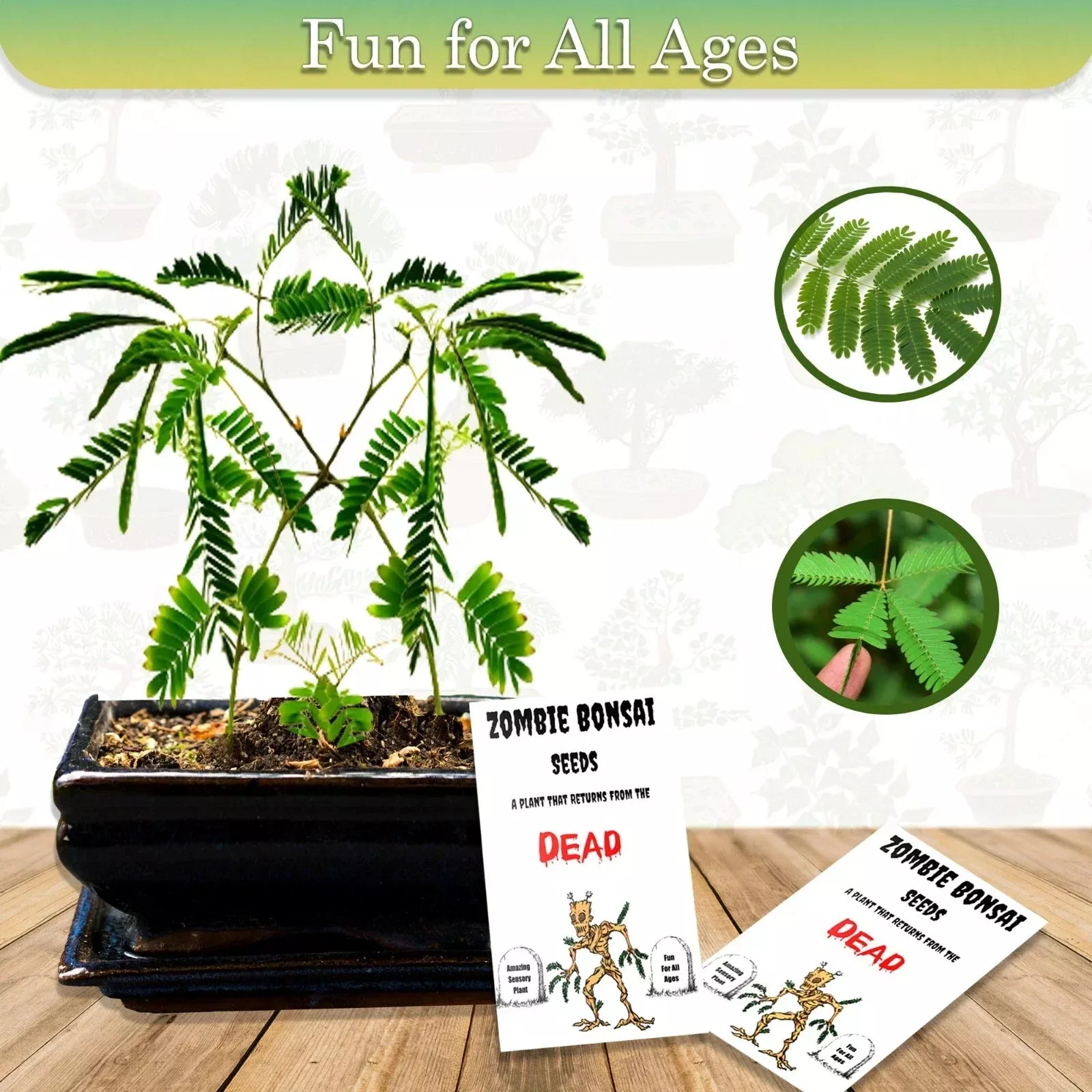 Zombie Bonsai Seeds Packets (2 Pack)