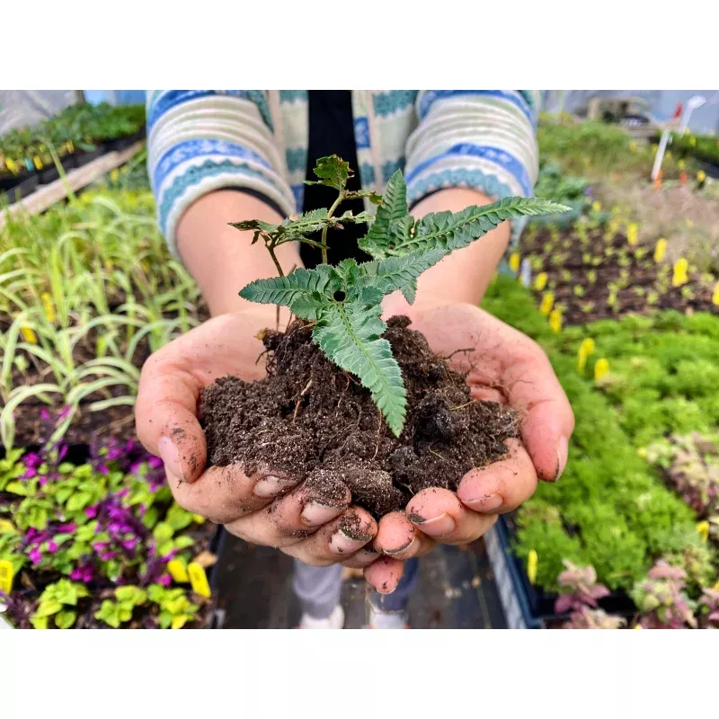 Zoom in on Soils – Online Only